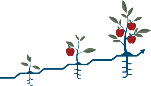 3 Apple trees at different stages of growth